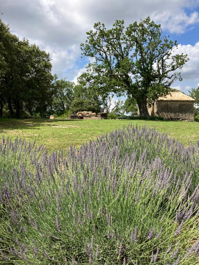 La Bastide Des Roman Villa Vernegues Exterior foto